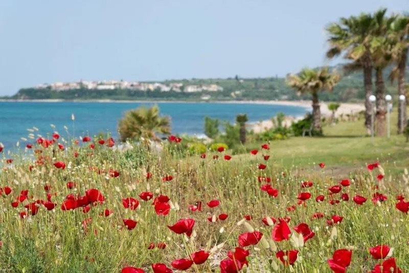 Poseidon Beach Hotel Kastrosikia Luaran gambar